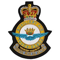 Royal Auxiliary Air Force Wire Blazer Badge